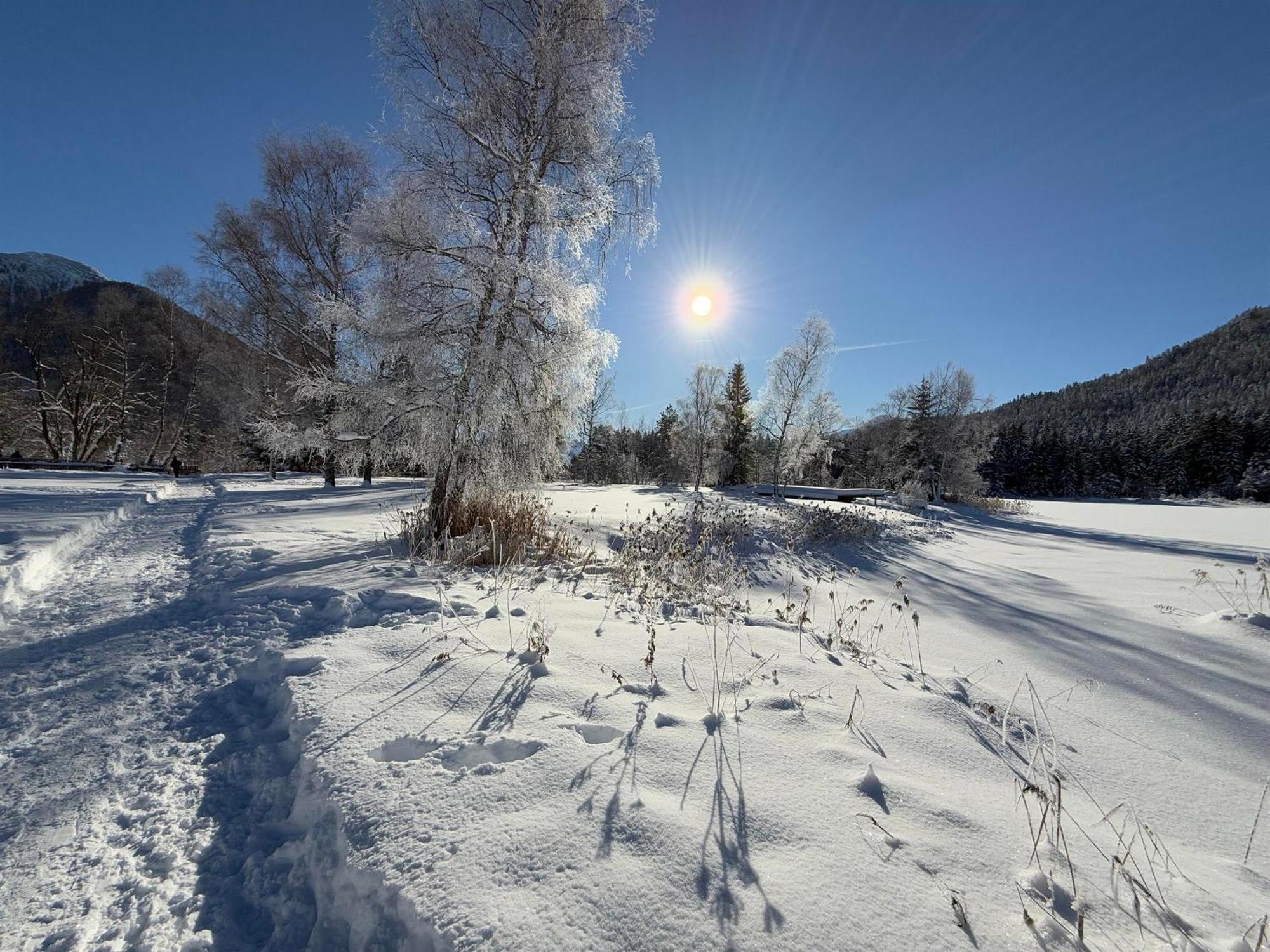 Bio Am Wildsee In Seefeld Mit E-ladestation Seefeld in Tirol